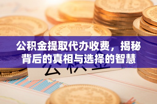 腾冲公积金提取代办收费，揭秘背后的真相与选择的智慧