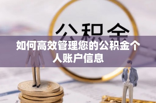 腾冲如何高效管理您的公积金个人账户信息