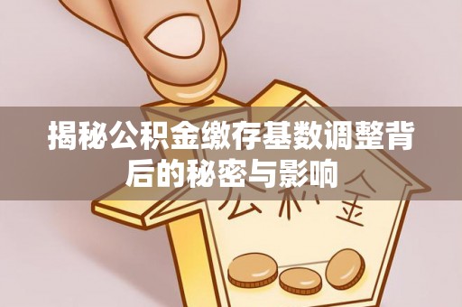 腾冲揭秘公积金缴存基数调整背后的秘密与影响