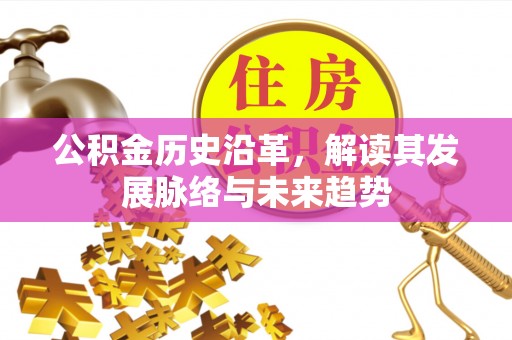 腾冲公积金历史沿革，解读其发展脉络与未来趋势