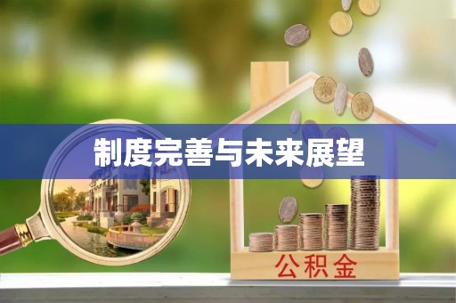 腾冲制度完善与未来展望
