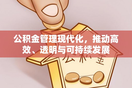 腾冲公积金管理现代化，推动高效、透明与可持续发展