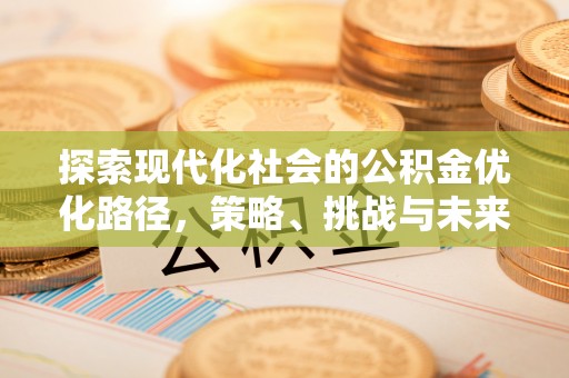 腾冲探索现代化社会的公积金优化路径，策略、挑战与未来展望