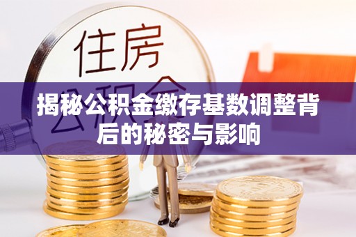 腾冲揭秘公积金缴存基数调整背后的秘密与影响