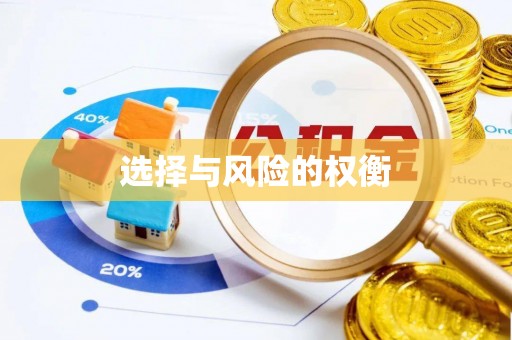 腾冲选择与风险的权衡