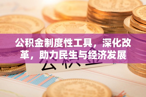 腾冲公积金制度性工具，深化改革，助力民生与经济发展
