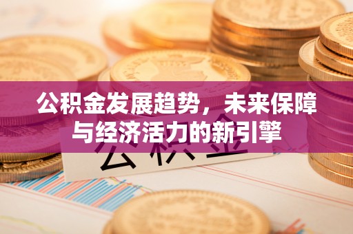腾冲公积金发展趋势，未来保障与经济活力的新引擎