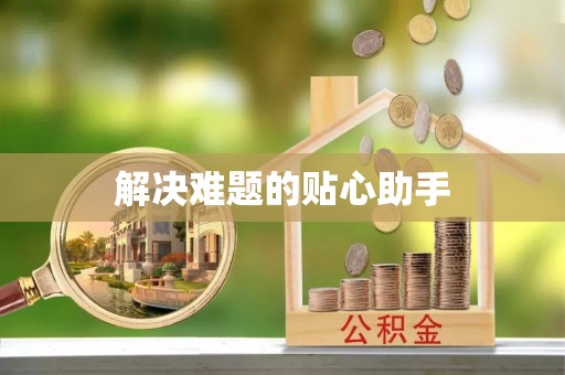 腾冲解决难题的贴心助手