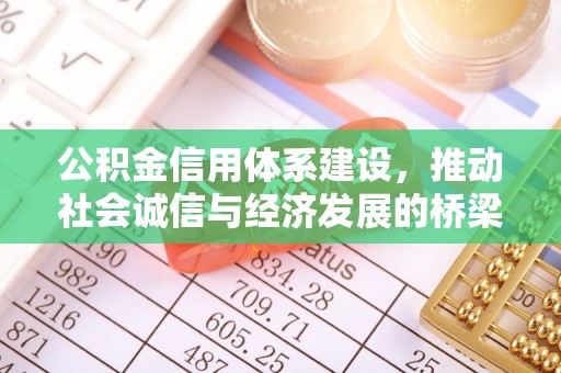 腾冲公积金信用体系建设，推动社会诚信与经济发展的桥梁
