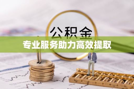 腾冲专业服务助力高效提取