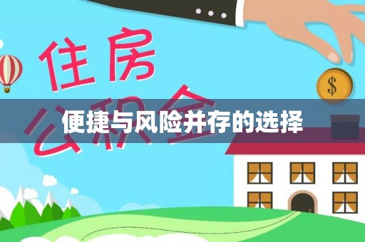 腾冲便捷与风险并存的选择