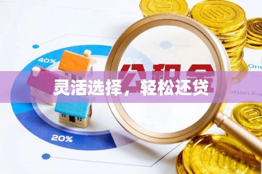 腾冲灵活选择，轻松还贷